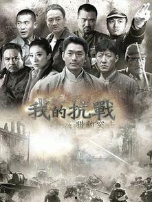 抗日电视剧推荐,抗日英雄传奇